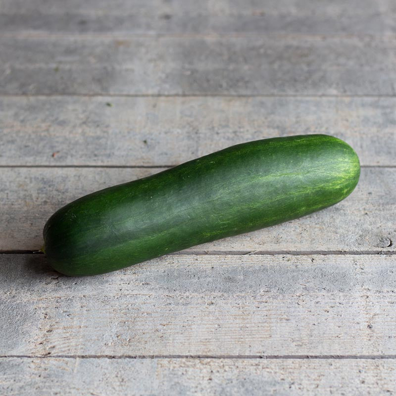 その他 KOOKRRR zhengyuxxx SEEDSEED Biologisch zwart komijnzaad kopen | KoRo