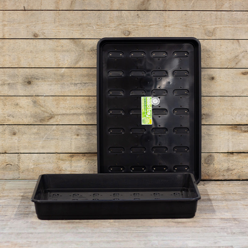151ar6枚セット Zaaitray XL met gaatjes | Garland Products | Jansen Zaden