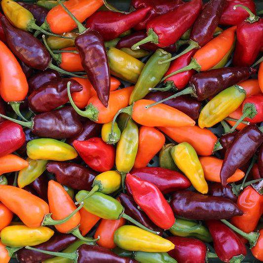 Peper - Mix