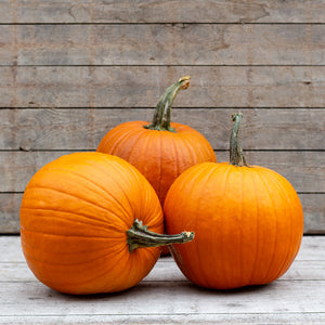 Halloweenpompoen - The Boss F1