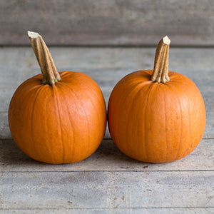 Halloweenpompoen - Pik-A-Pie F1