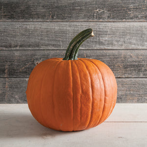 Halloweenpompoen - Racer F1