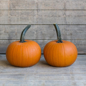 Halloweenpompoen - Small Sugar