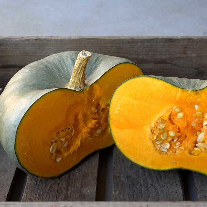 Pompoen - Black Prince