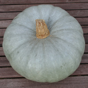 Pompoen - Bleu de Hongrie