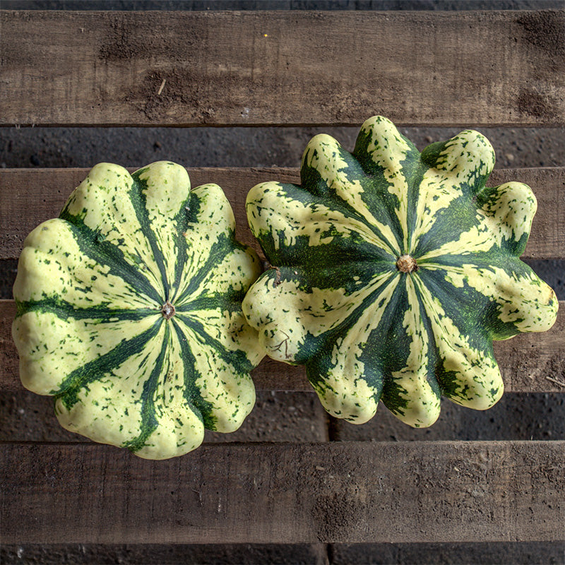 Panaché De Vert Pompoen