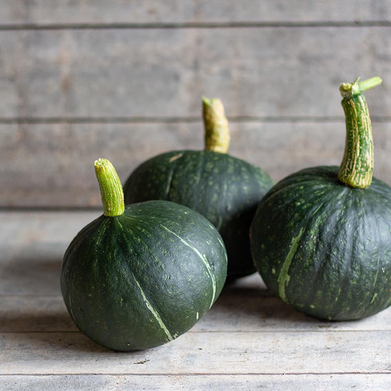 Online zaden kopen voor jouw tuin!