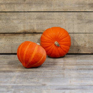 Hokkaido - Caldor F1