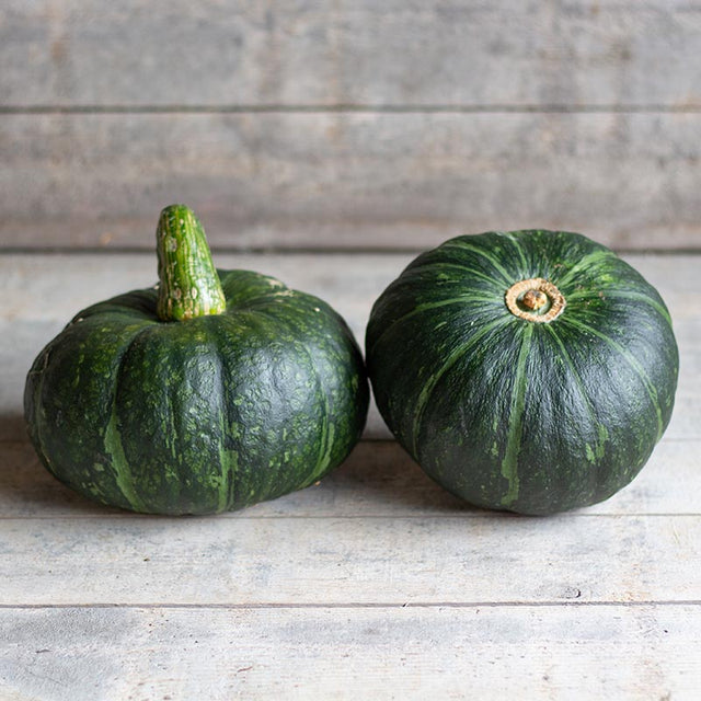 Buttercup & Kabocha pompoen kopen | Hokkaido | +20 soorten!