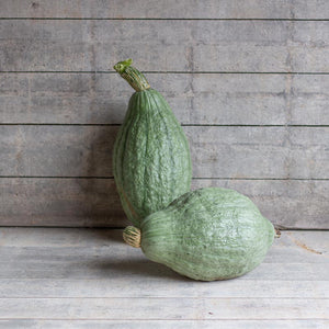 Hubbard - New England Blue Hubbard