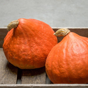 Hubbard - Red October F1