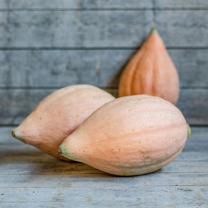 Hubbard - Sweet Fall