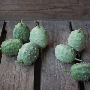 Sierkomkommer - aculeatus