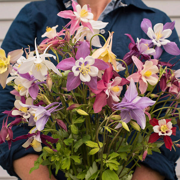 51980_800x800_d4084b95-1808-