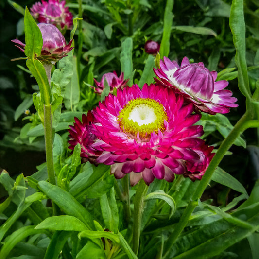59348_800x800