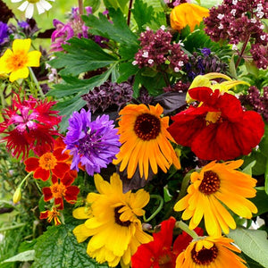 Bloemenmengsel Eetbare bloemen/kruiden mix