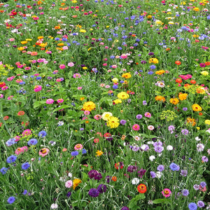 Bloemenmengsel La Dolce Flora