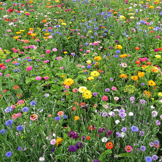 Bloemenmengsel La Dolce Flora