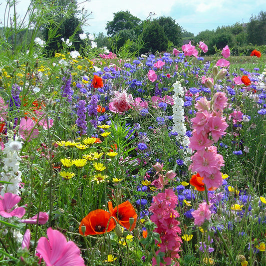 Bloemenmengsel Festival des Fleurs