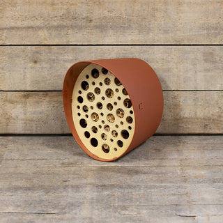 Capi bijenhotel Terra