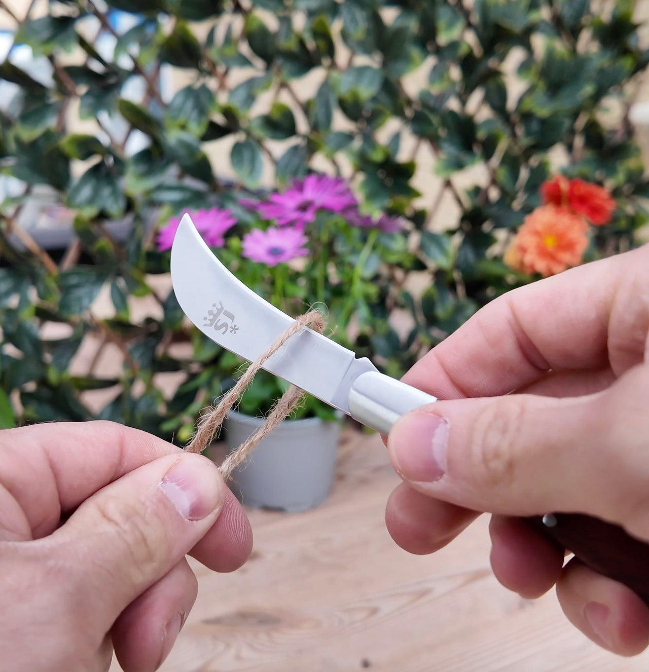 Snoeimes Spear & Jackson