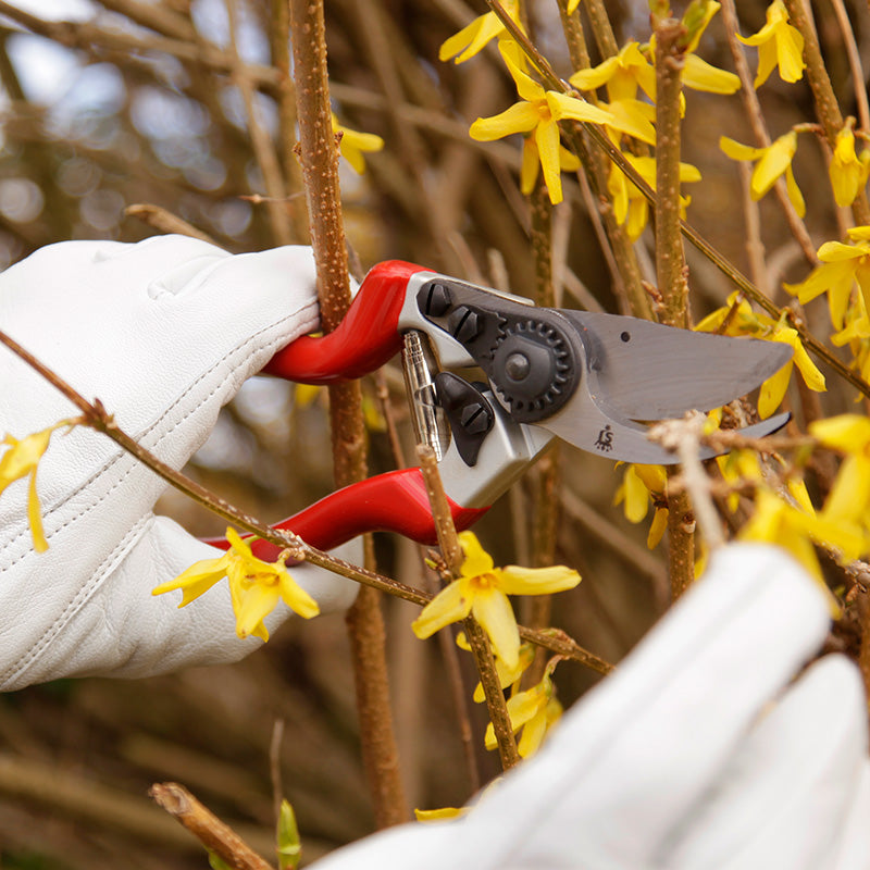 Linkshandige bypass-snoeischaar Spear & Jackson