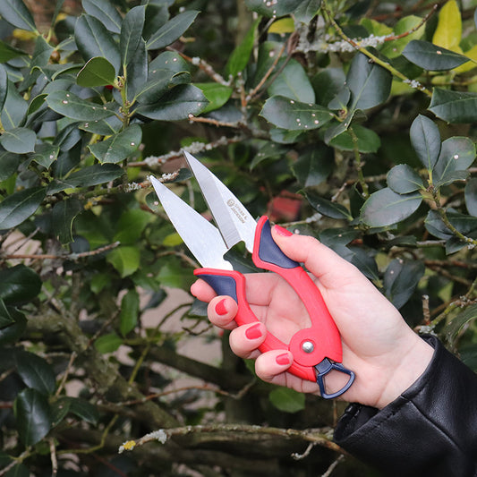 Mini Topiary Schaar - Spear & Jackson