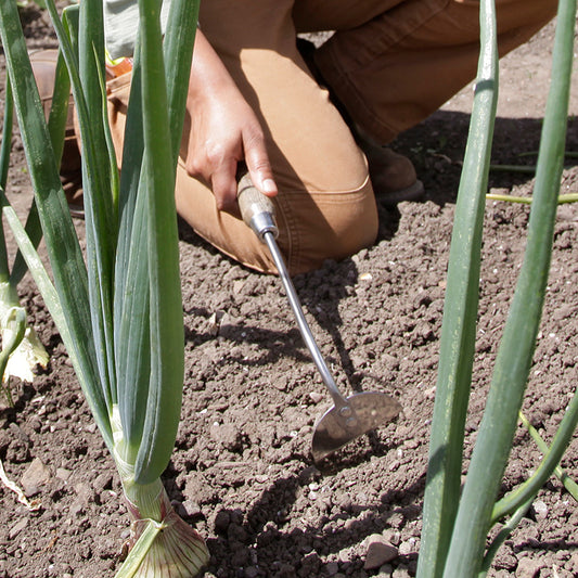 Handhak - Spear & Jackson