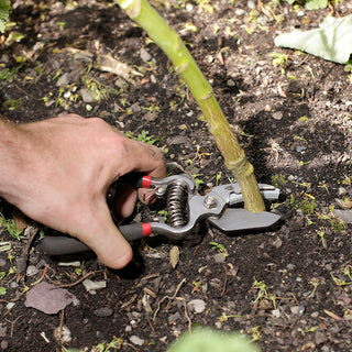 Spear & Jackson Vintage aambeeldsnoeischaar