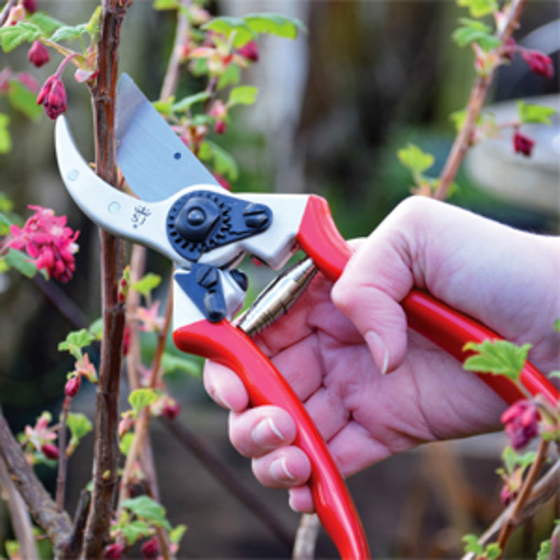 Bypass snoeischaar met holster - Spear & Jackson