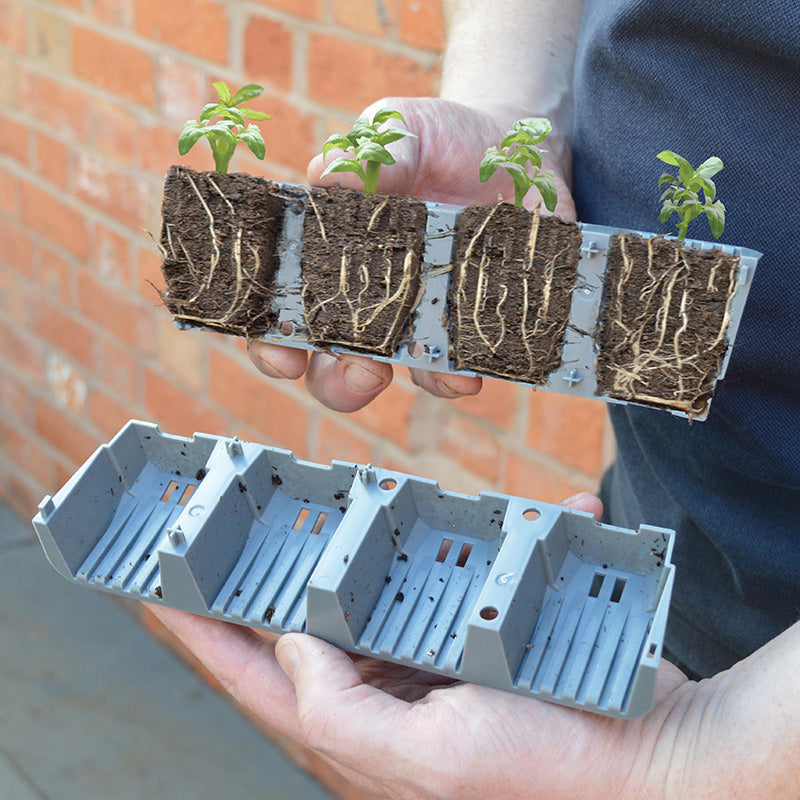 Fast Root Split cel 24 - Garland Products