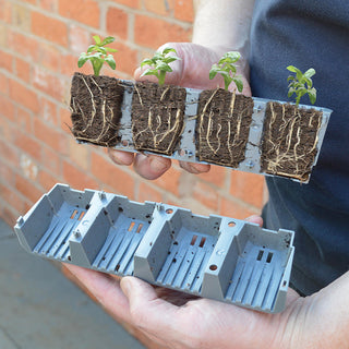 Fast Root Split cel 24 - Garland Products