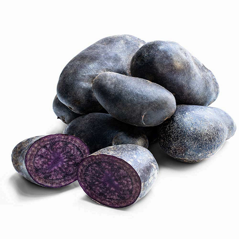 Solanum tuberosum - Pootaardappelen - Violetta